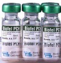 biofel_pch-2